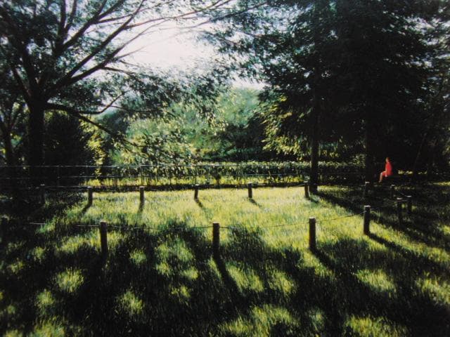 山本貞、いつものような夏の日、希少な画集より、新品高級額・額装付