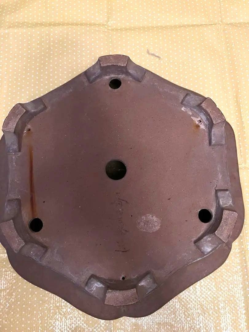 もつなべ様専用 盆栽鉢 大型 斎田三峰 おまとめ 美術品・アンティーク