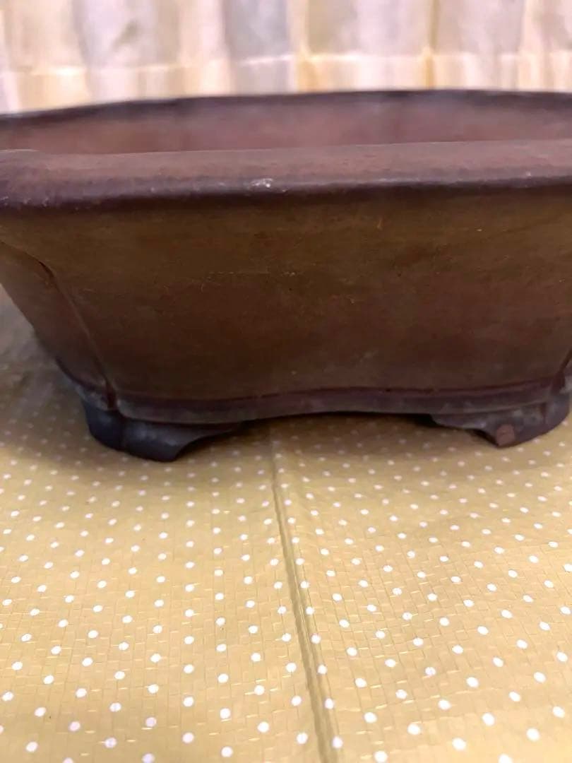 もつなべ様専用 盆栽鉢 大型 斎田三峰 おまとめ