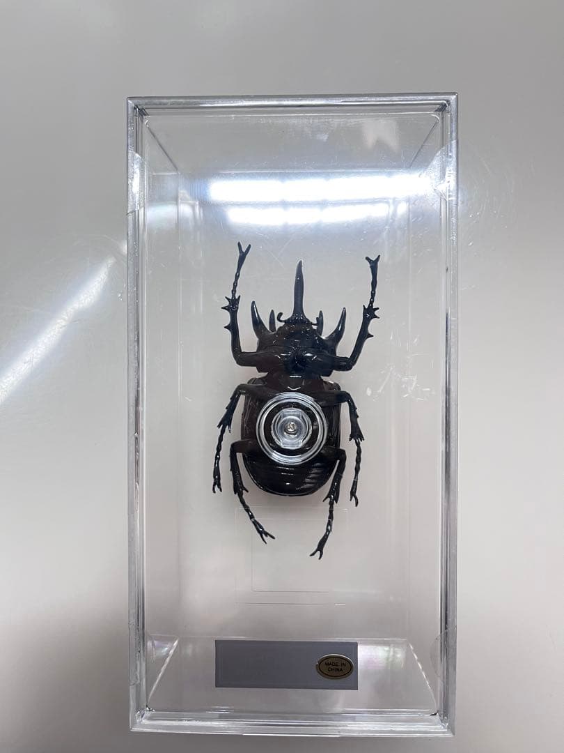 昆虫標本フィギュア「ゴホンヅノカブト♂」 - メルカリ