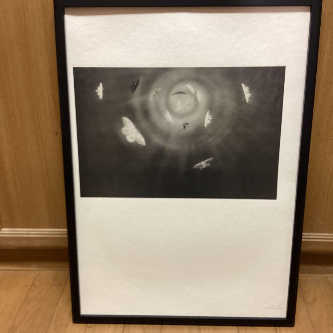 天才画家速水御舟　作品集大作編便利堂監修　画集NO 18 【昆虫二題粧蛾舞戯】