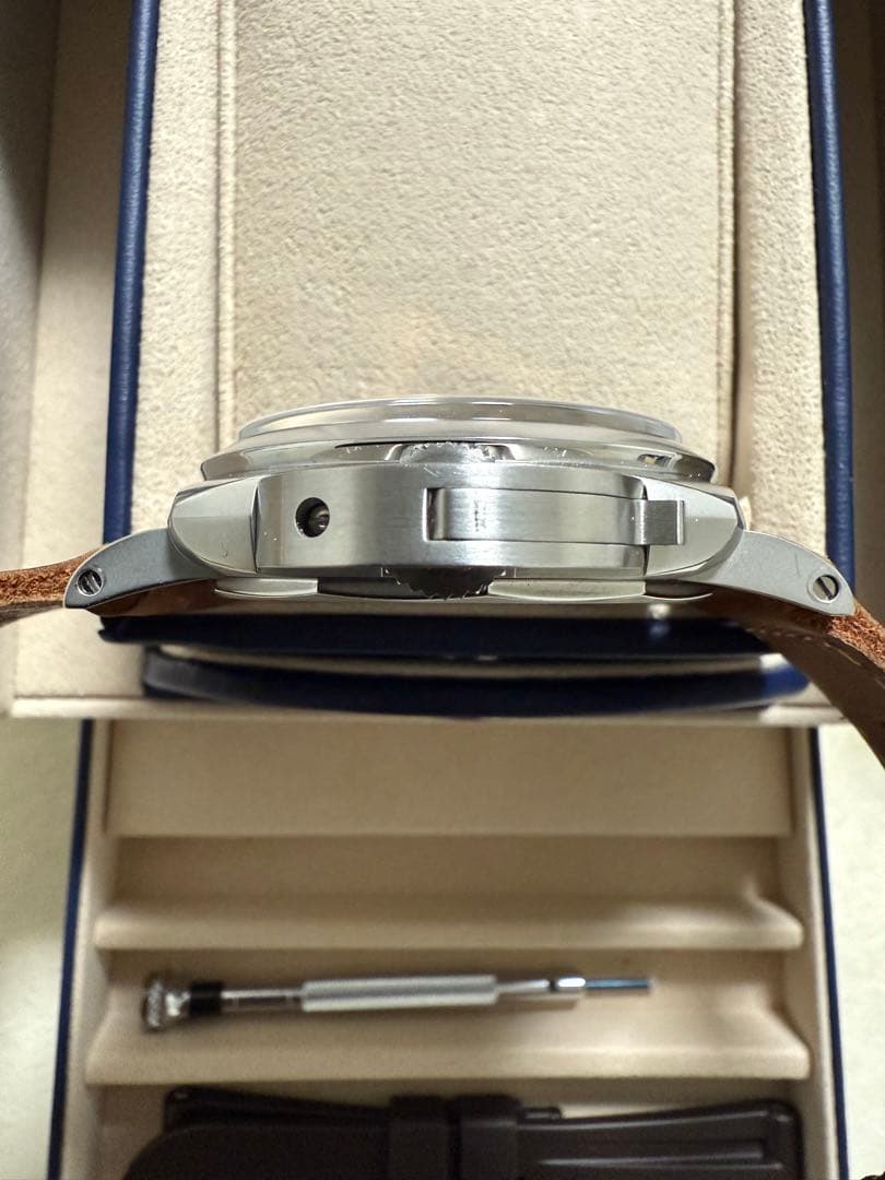 ふるーつぐれーぶ　パネライ　ルミノール　トレジョルニ　47mm