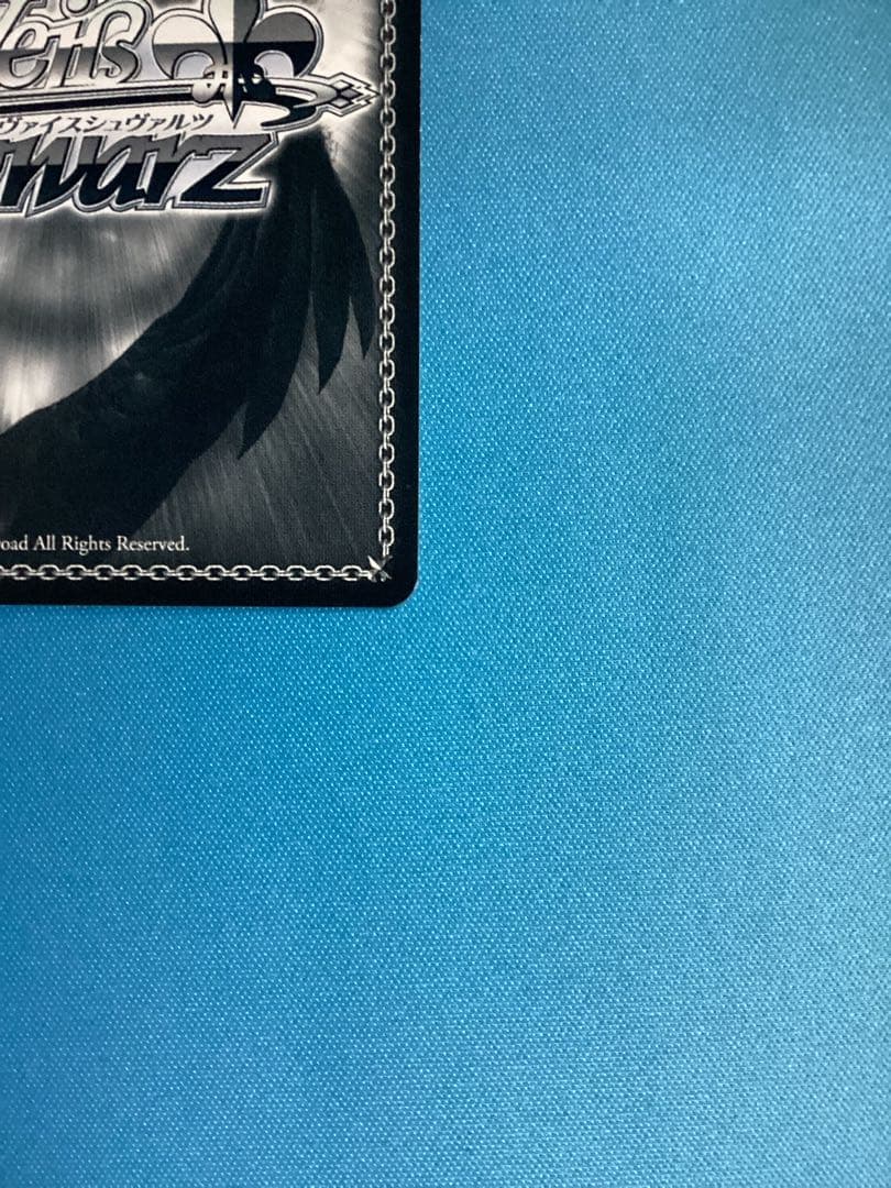 WS 気になっちゃう背中 SEC