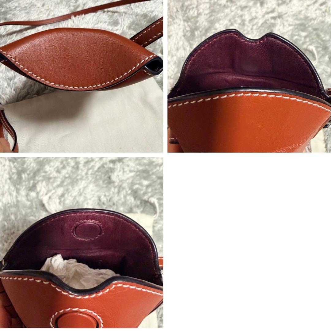 【最終値下げ】ロエベ LOEWE ゲートポケット　ショルダーバッグ本革　レザー