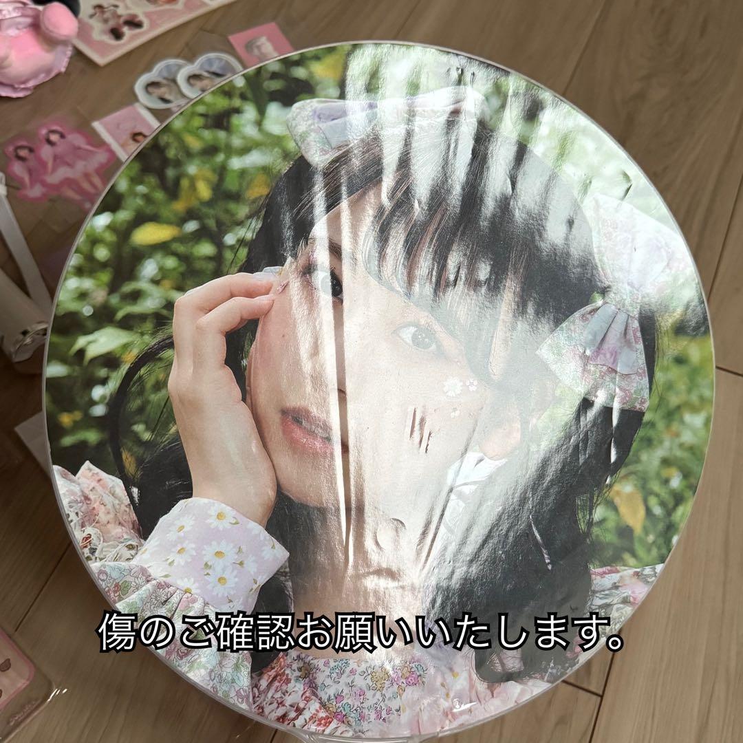 松本かれん チェキ グッズまとめ売り FRUITS ZIPPER