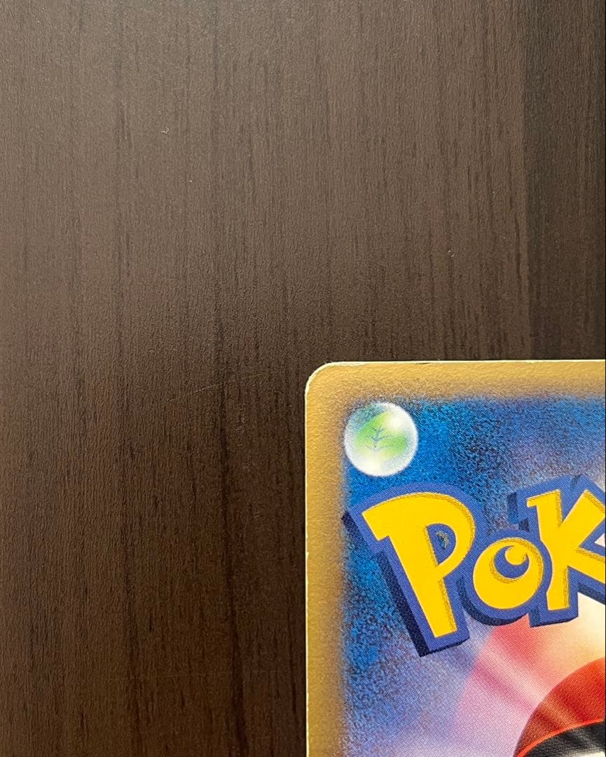 午*ん様 リザードン δ デルタ種