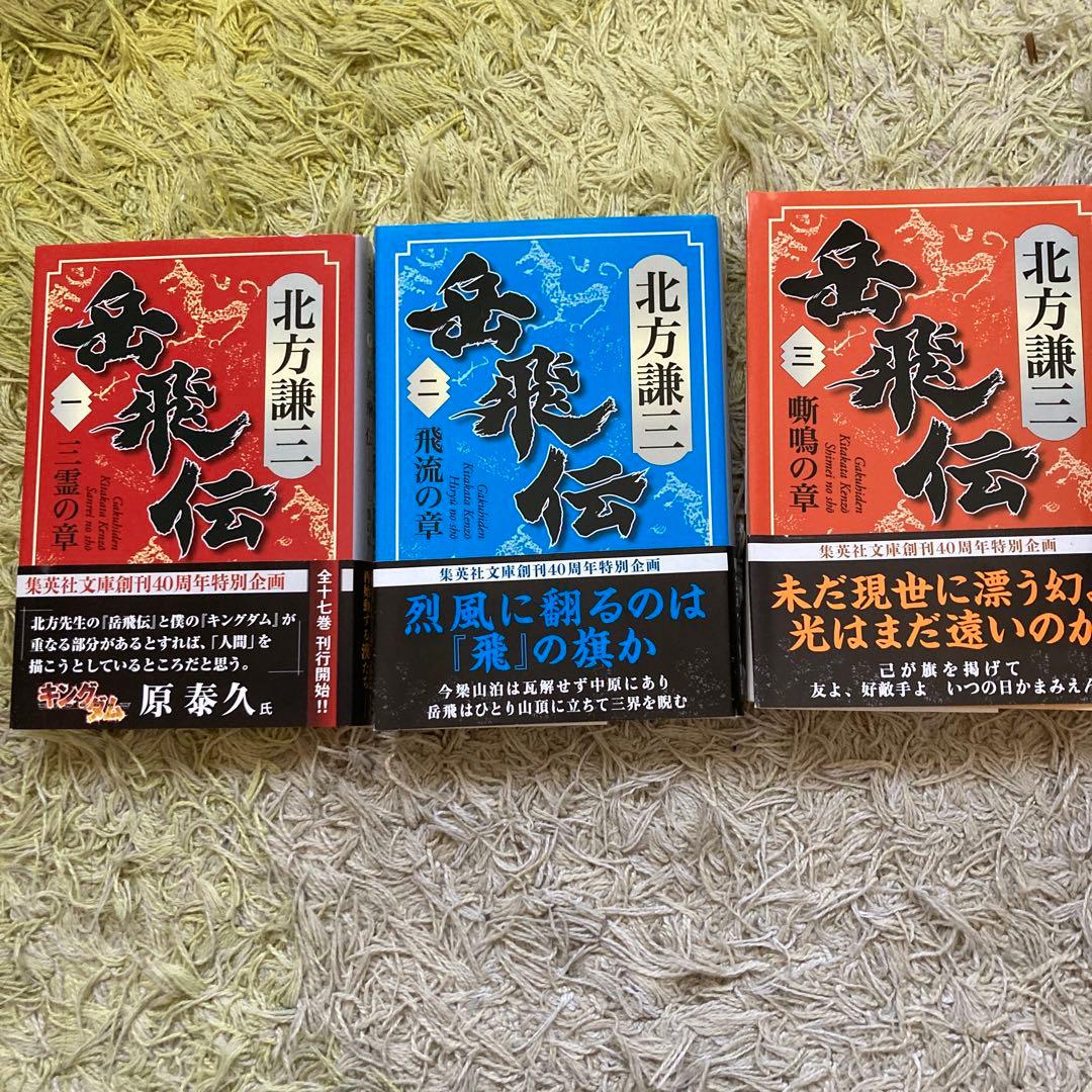 書籍 北方謙三『岳飛伝』 全17巻 - メルカリ