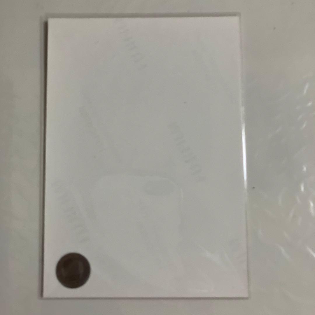 乃木坂46 生写真　掛橋沙耶香　マシンガンレイン　直筆サイン　自引き品