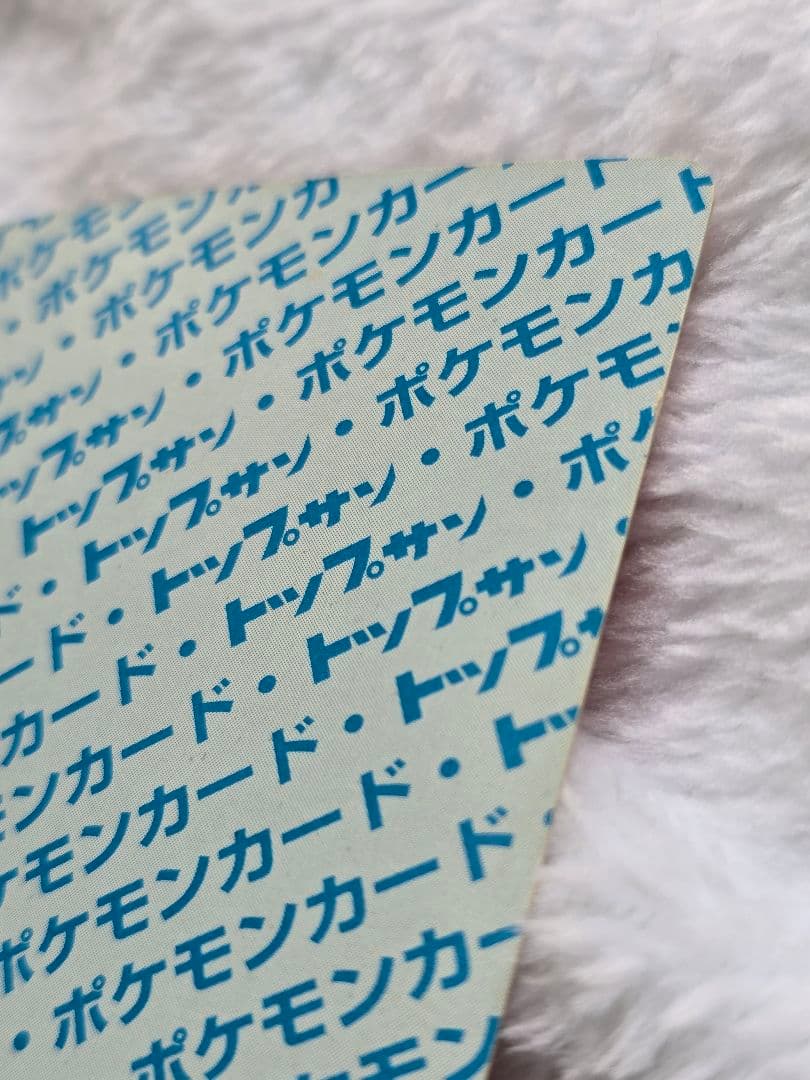 トップサン　リザードン「入札する前に必ず確認を」