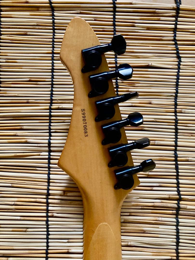 ☆他に類を見ない貴方だけの一本　AriaProⅡ MAGNA HSH ST