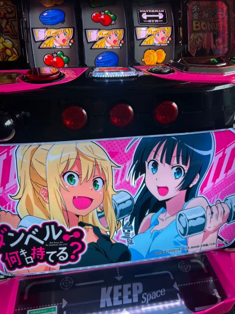 家庭用改造済み スマスロ Lダンベル何キロ持てる？X 送料込み