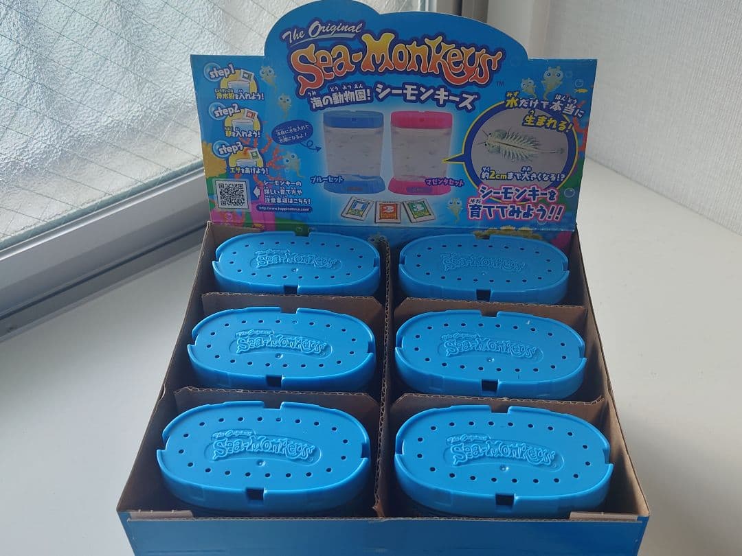海の動物園! シーモンキーズ ブルーセット 箱付き 6個セット