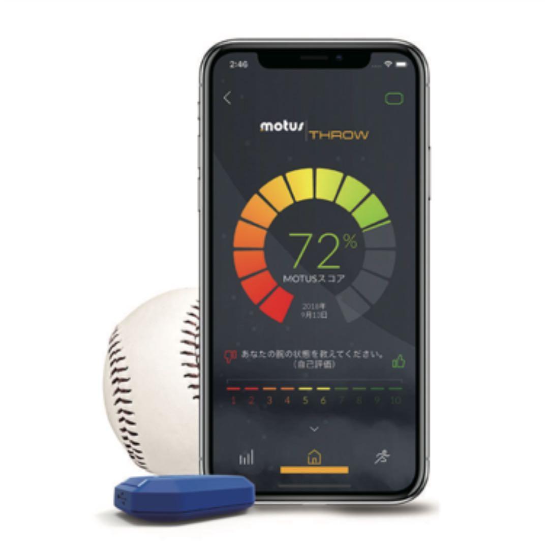 月に雁図】望月金鳳 2714 秋掛 掛け軸 肉筆