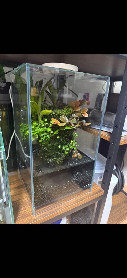 ADA DOOA ネオグラスエア/テラベース フルセット