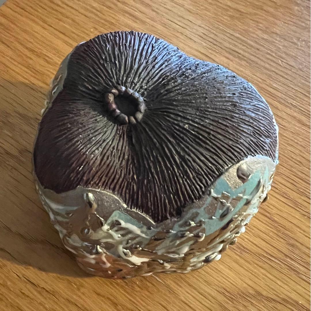 【⭐︎値下げしました⭐︎】未使用品　篠崎裕美子作　酒盃