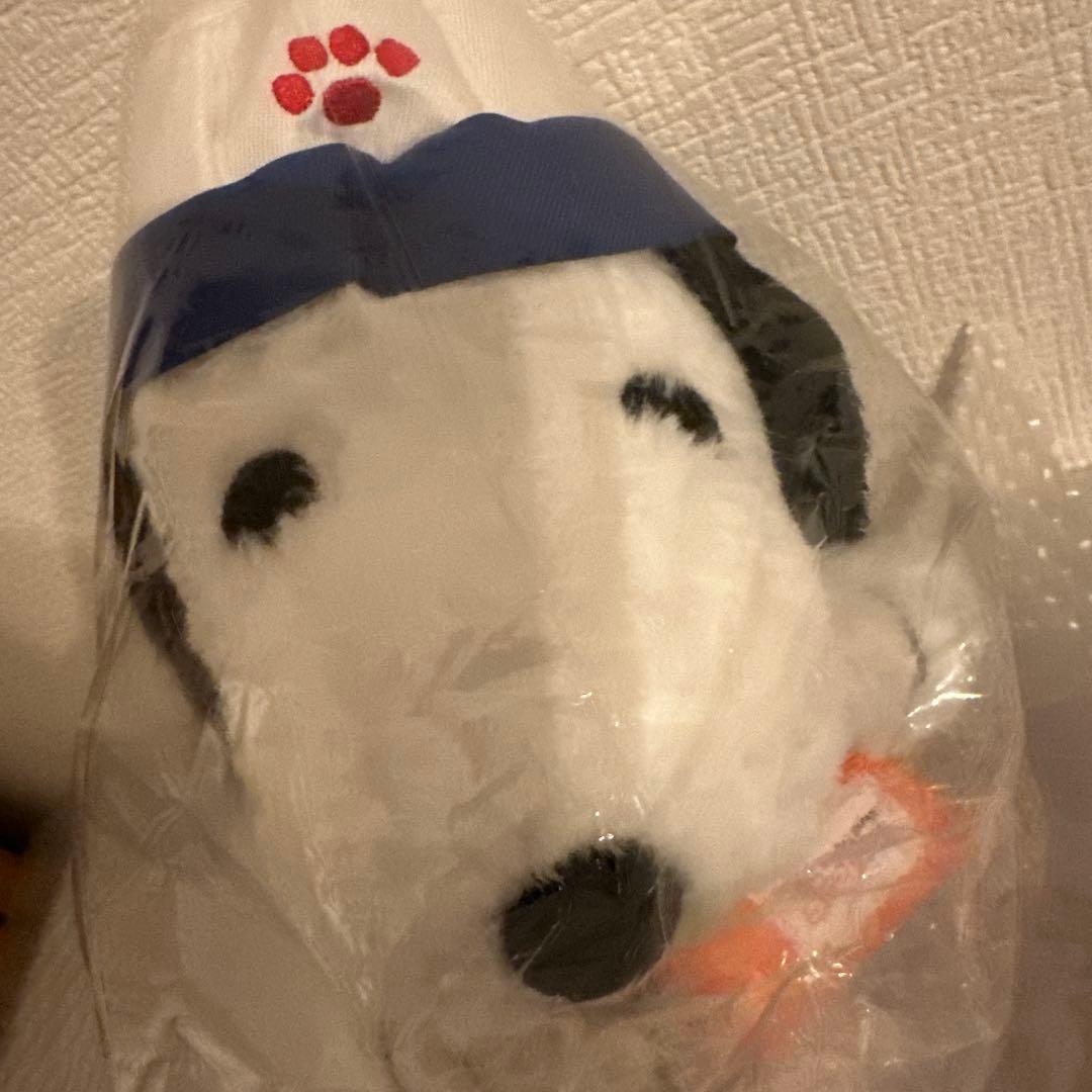 【万博会場限定】EXPO2025 PEANUTS スヌーピー ぬいぐるみ