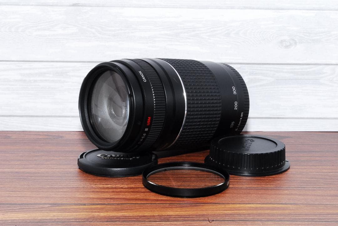 Canon EFレンズセット 35-80mm Ⅳ / 75-300mm USM