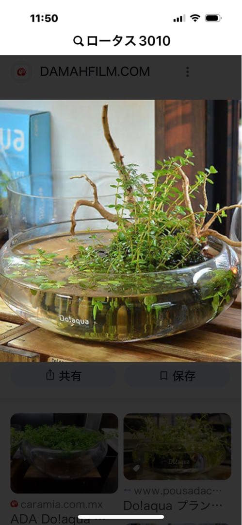 Do!aqua ガラス製円形水槽ロータス3010 DOOAブランド商品の販売(アクア