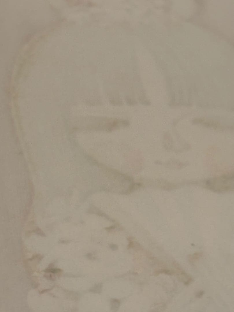 真作保証 池田修三 木版画 「おひなさま」直筆サイン入り 1984年