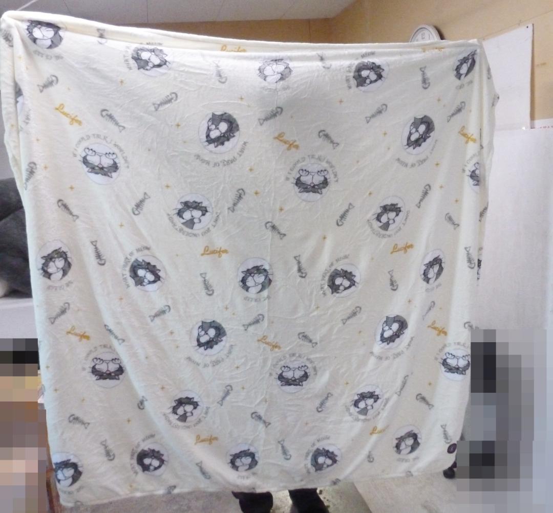 ディズニー シンデレラ ルシファー ぬいぐるみ 約80cm ブランケット付 特大