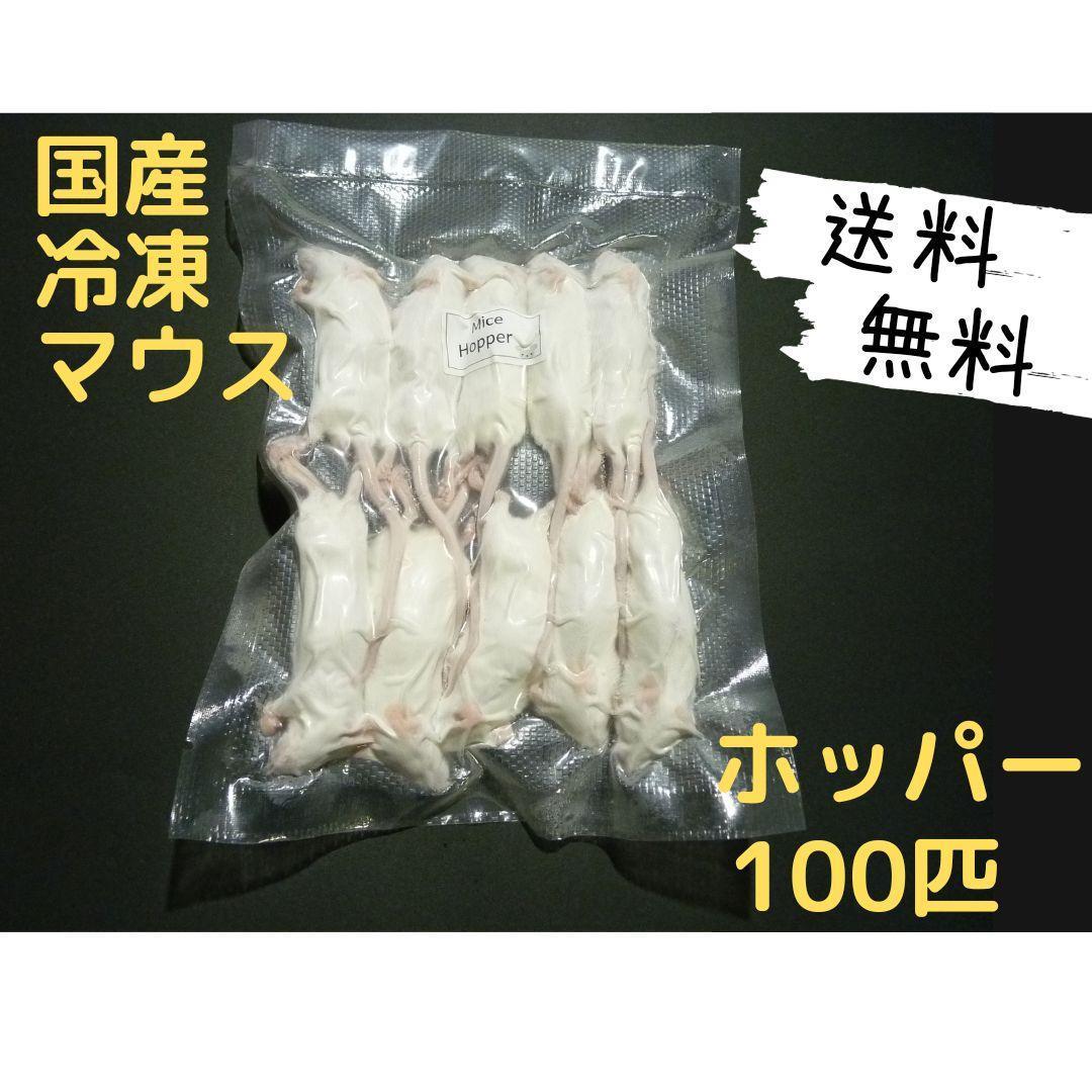 国産冷凍マウス ホッパー 100匹 (送料無料一部地域発送不可) - メルカリ