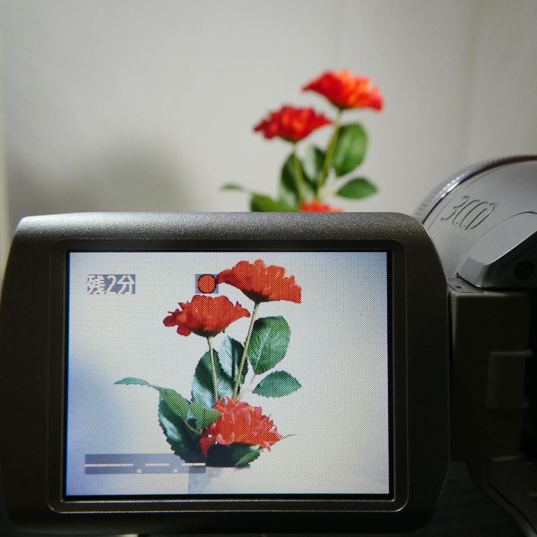 動作良好 パナソニックNV-GS250 MiniDVビデオ DVD化に最適 !