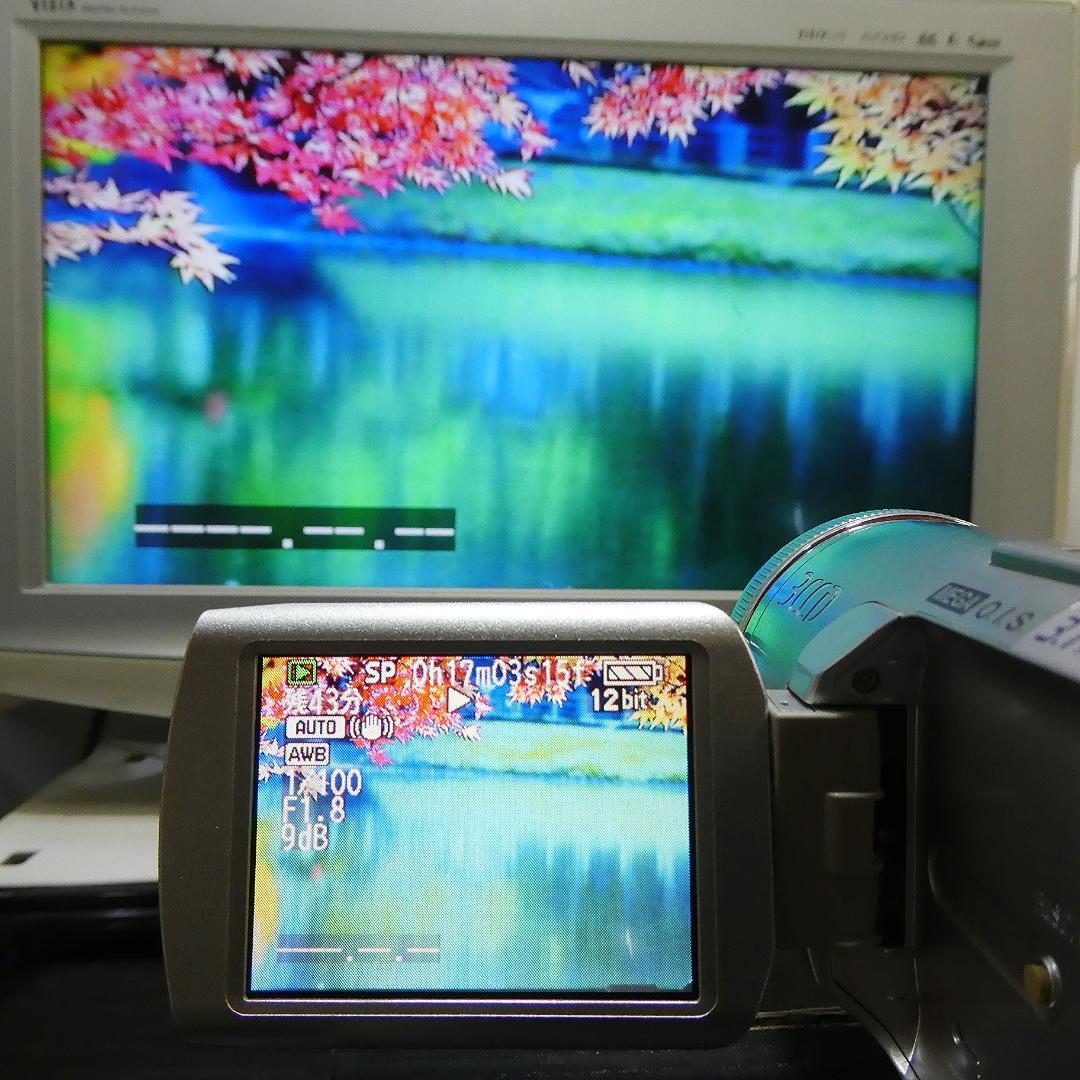 動作良好 パナソニックNV-GS250 MiniDVビデオ DVD化に最適 !