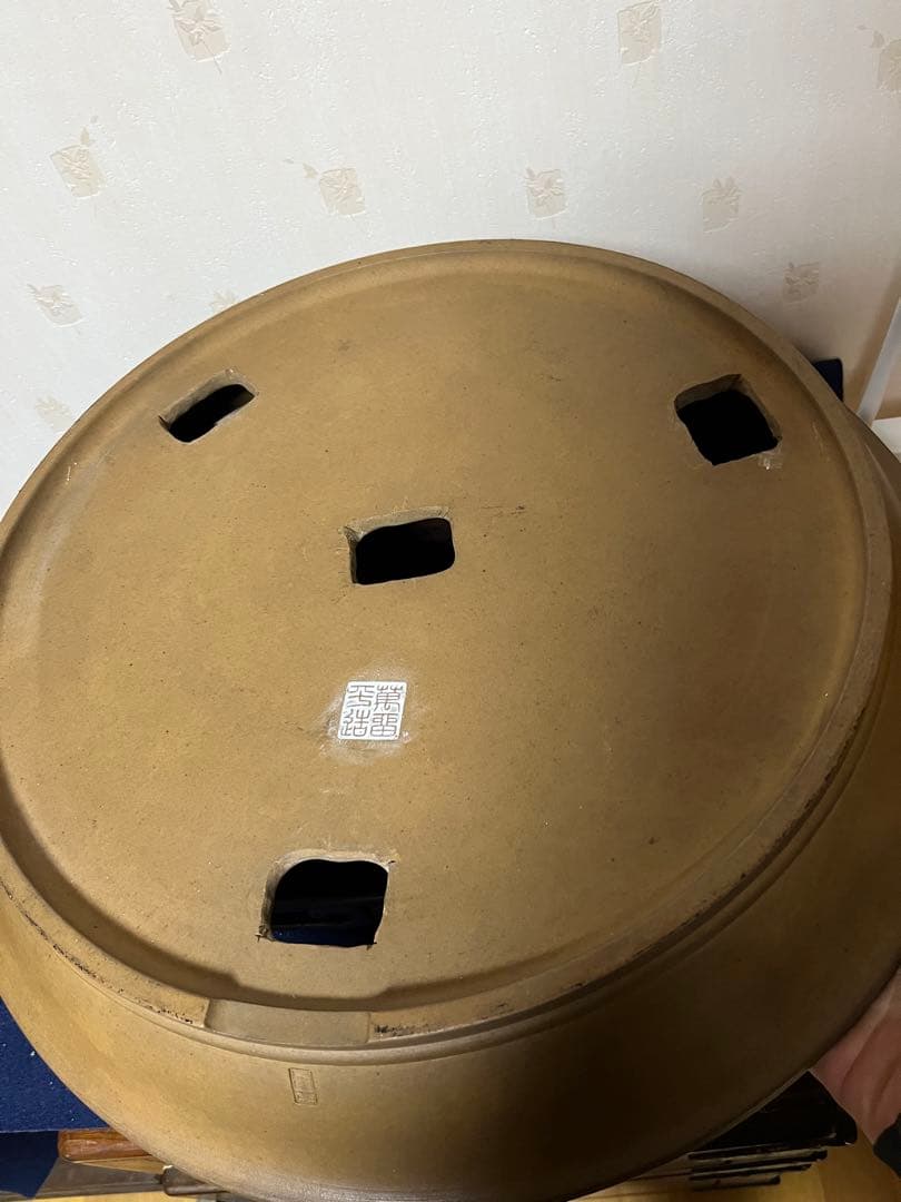 474 盆栽 盆栽鉢 植木鉢 和鉢 水穴大きくしてます