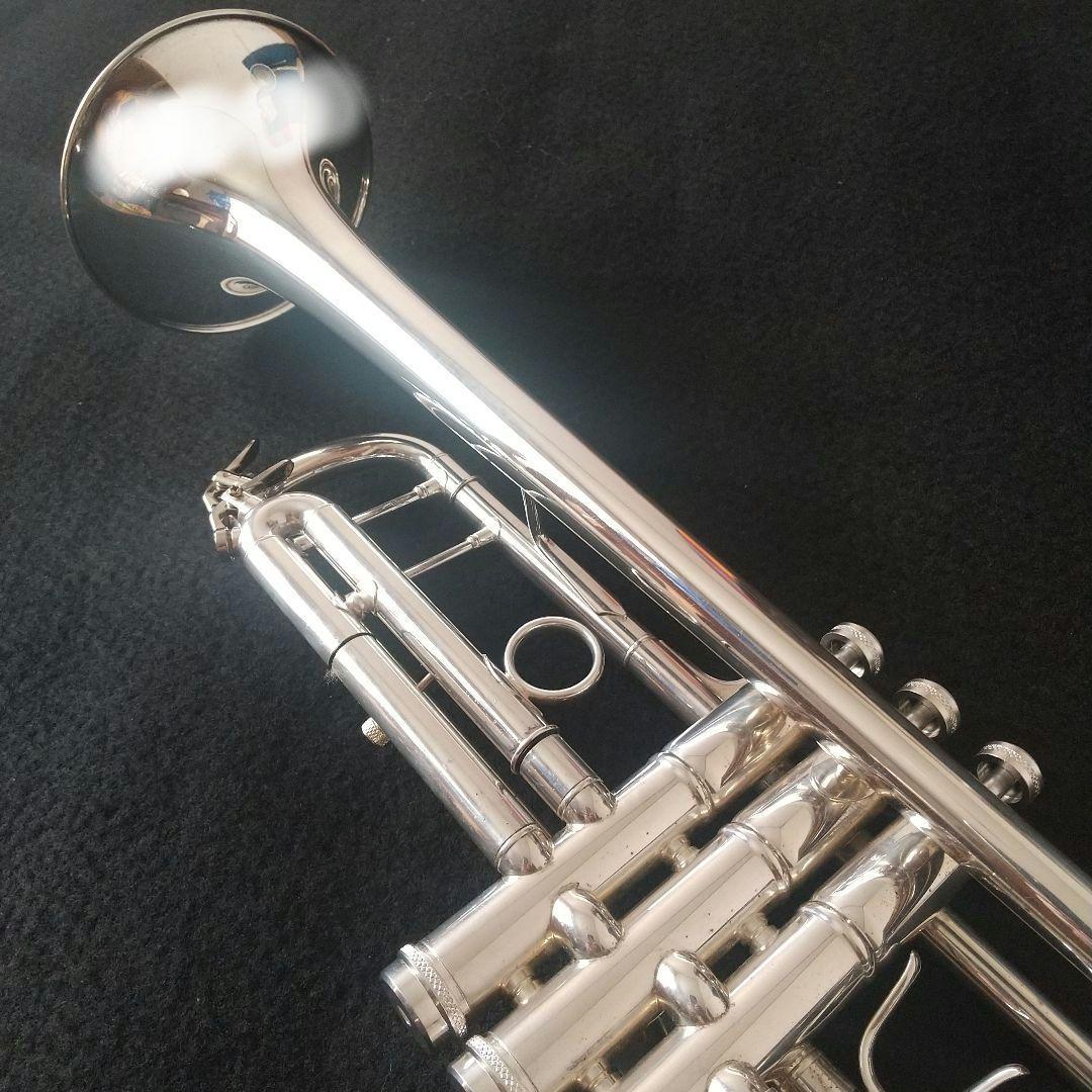 マルカートソフィアシリーズ。ヘビートリムキット付属