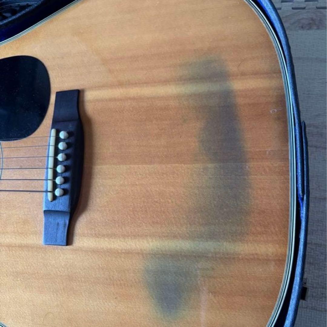 Tokai CF-180 ジャパンヴィンテージ アコギ Cat´s Eyes