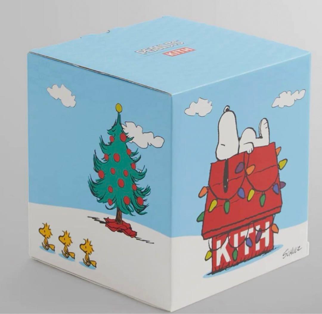 新品 Kith Snoopy House Snow Globe スノードーム 美術品