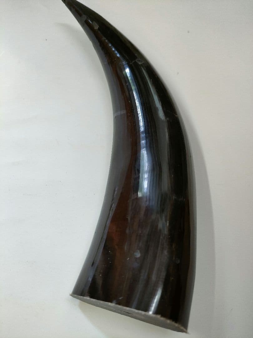 黒水牛の角】パトリオットボールペン