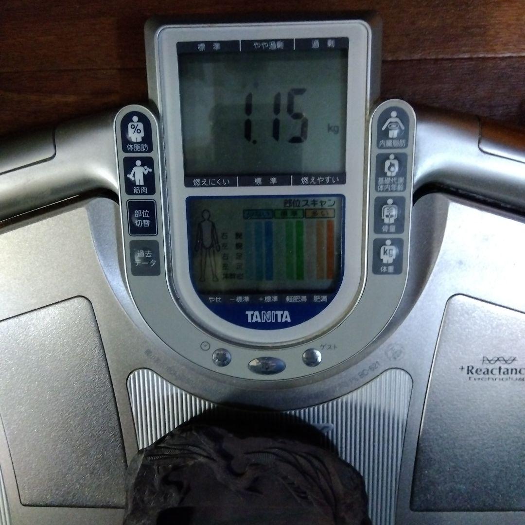 硯 箱付 松 重さ1.75kg 書道 習字 スズリ 毛筆 フデ 墨 【端渓硯？】