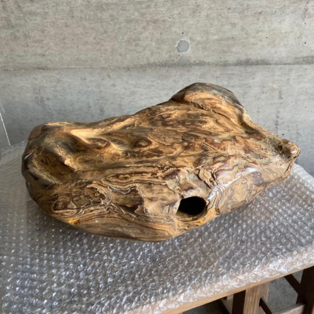 木化石 珪化木 天然 大型 置物 オブジェ 花器 フラワーベース 台座付