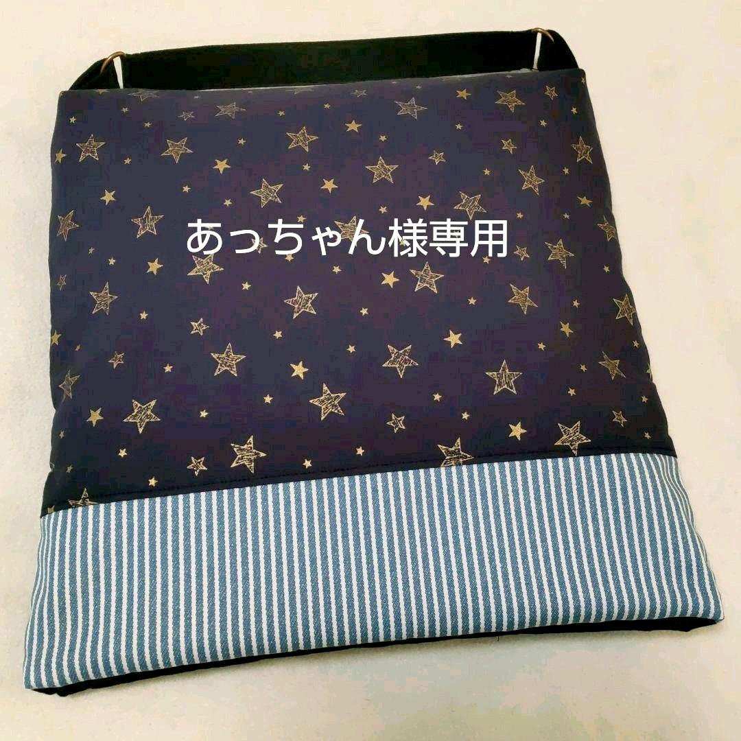 草薙真様専用 アルタイ隕石 メテオライト 立方体 鉄隕石 重さ199g