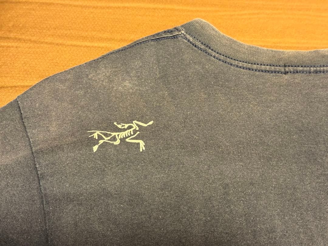貴重品 日本限定 arcteryx 漢字 大入 始祖鳥 Tシャツ M - メルカリ