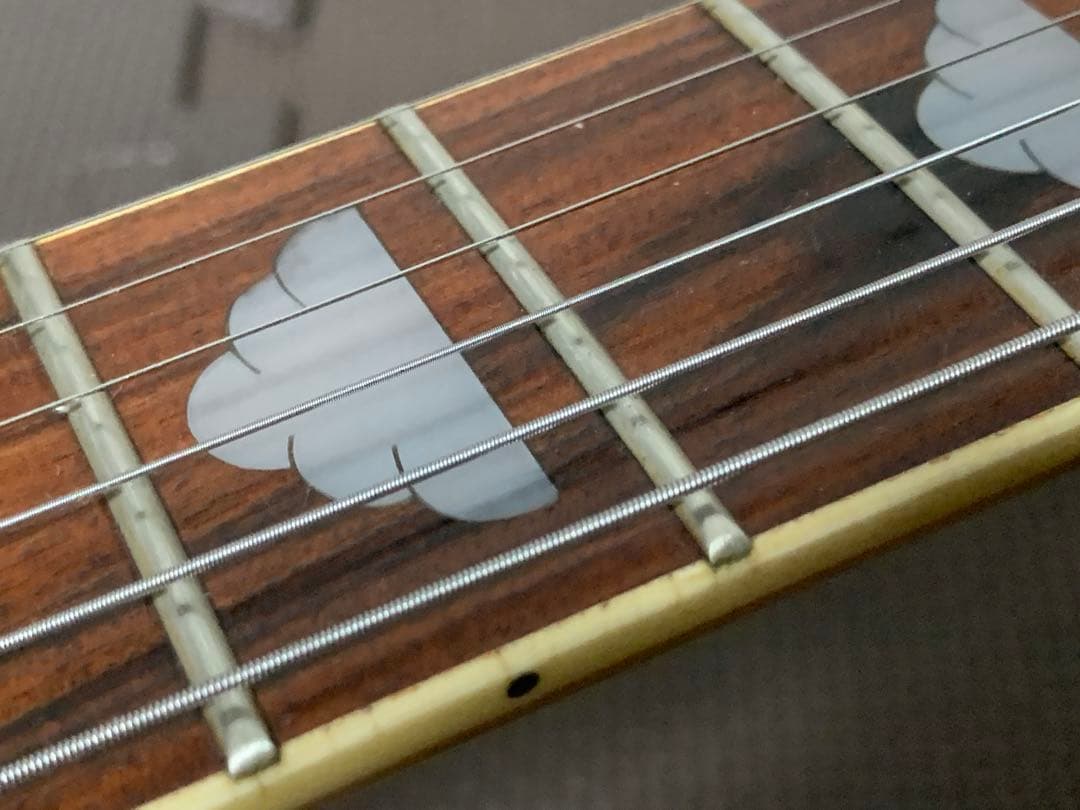 Aria Pro Ⅱ Mockingbird モッキンバード hide