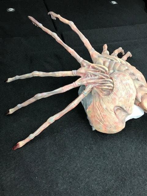 レア！クイーンフェイスハガー　1/1 組立塗装済み完成品　破損有り