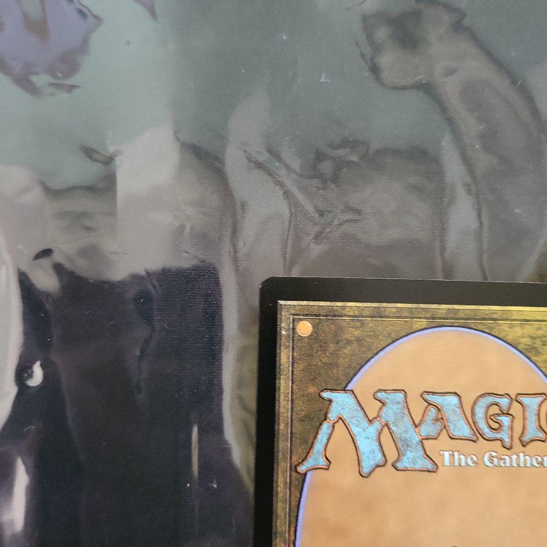 【Foil】《溢れかえる岸辺/Flooded Strand》[EXP] 土地R