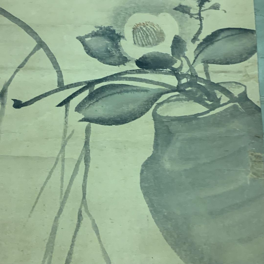 椿に柳　呉春　松村月渓　共箱付き　希少　落款