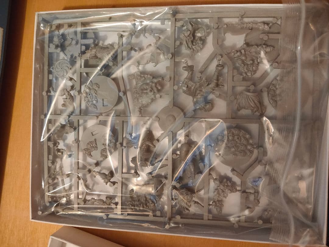 その他 10th Anniversary Survivor Kingdom Death