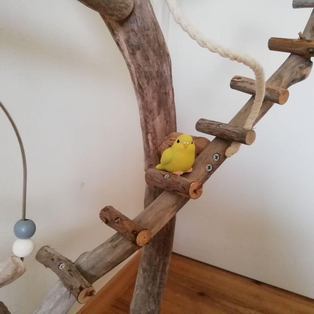 バードアスレチックジム㉚ 天然木 自然木 流木 止まり木 インコ遊び場