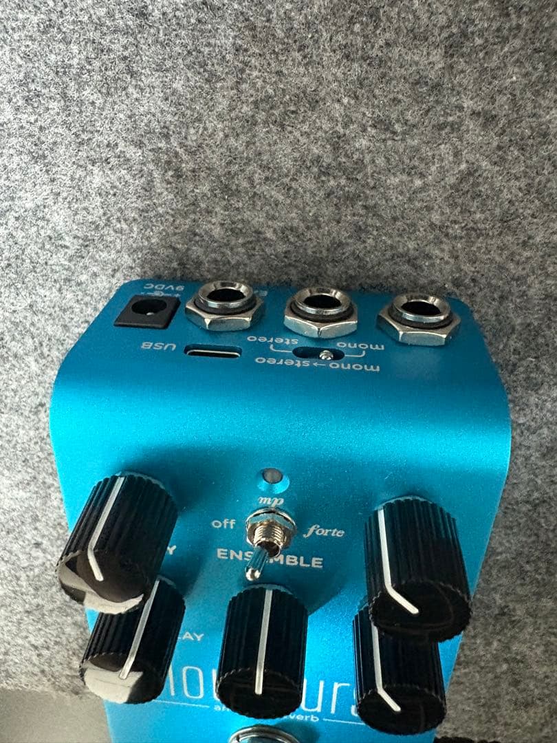 Strymon cloudburst クラウドバースト　リバーブ　reverb