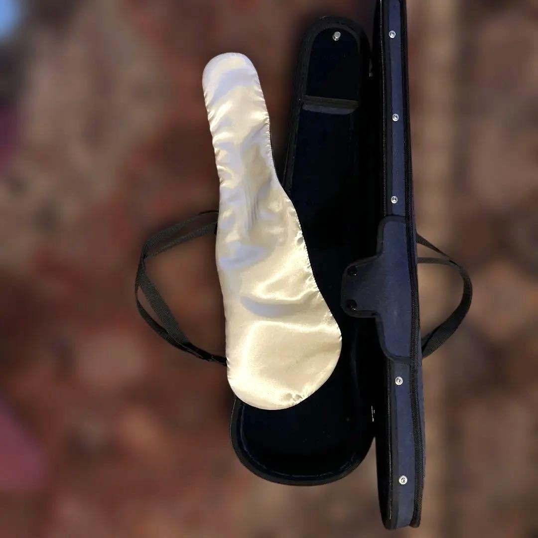 バイオリンハードケース　4/4 ゲバ　GEWA 美品　ストップ付き