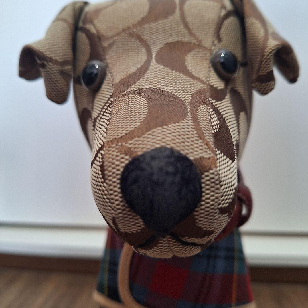 たーくん 【レア】COACH　ぬいぐるみ犬②