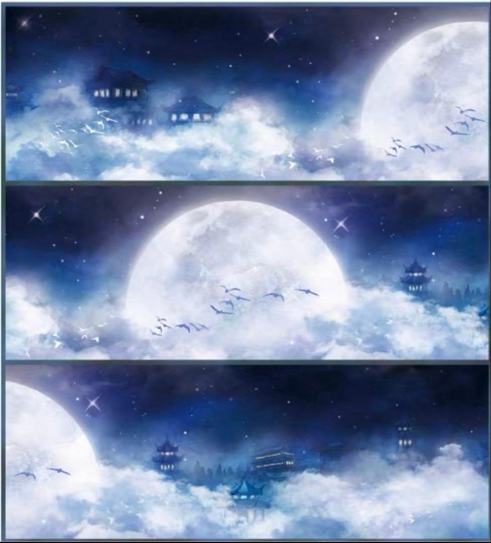 PET 月桂蟾宫 6.5cm×5m 35cm/loop 海外マスキングテープ