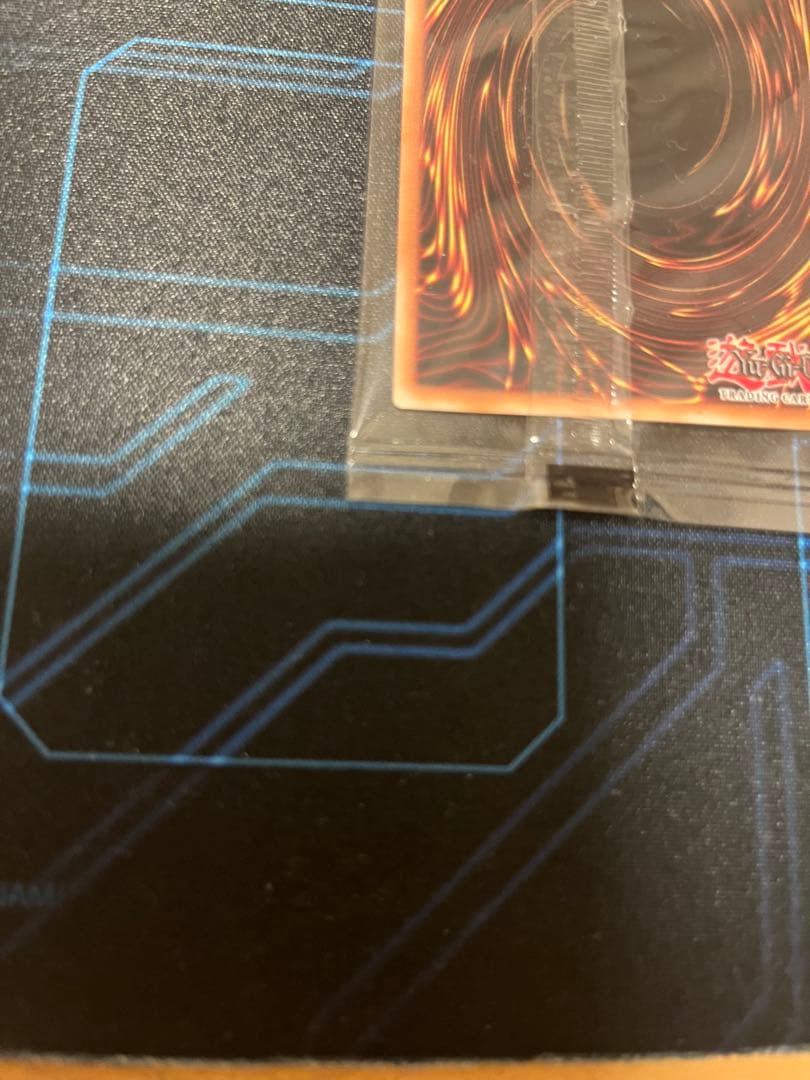 日本選手権　プロモ　値下げ不可