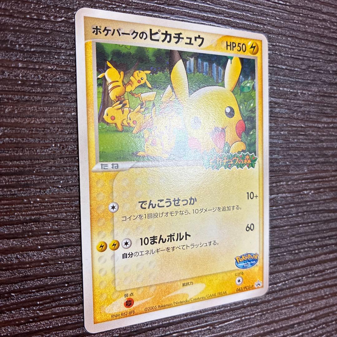 ポケパークのピカチュウ