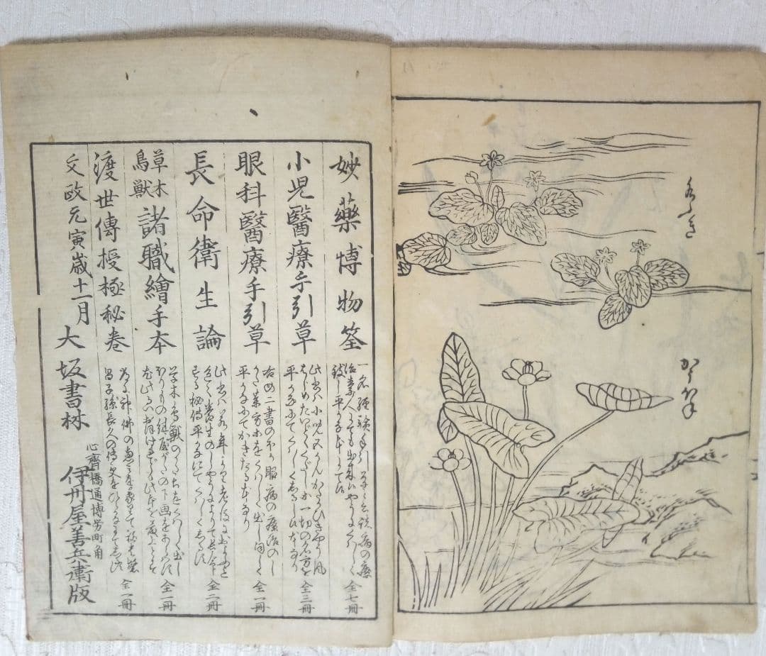 草木鳥獣諸職繪手本(黒摺り版画本)紀朝臣敏作画、伊舟屋善兵衛板、文政