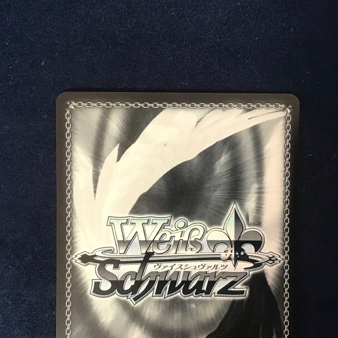 ヴァイスシュヴァルツ 自然とのふれあい ルビー SSP サイン